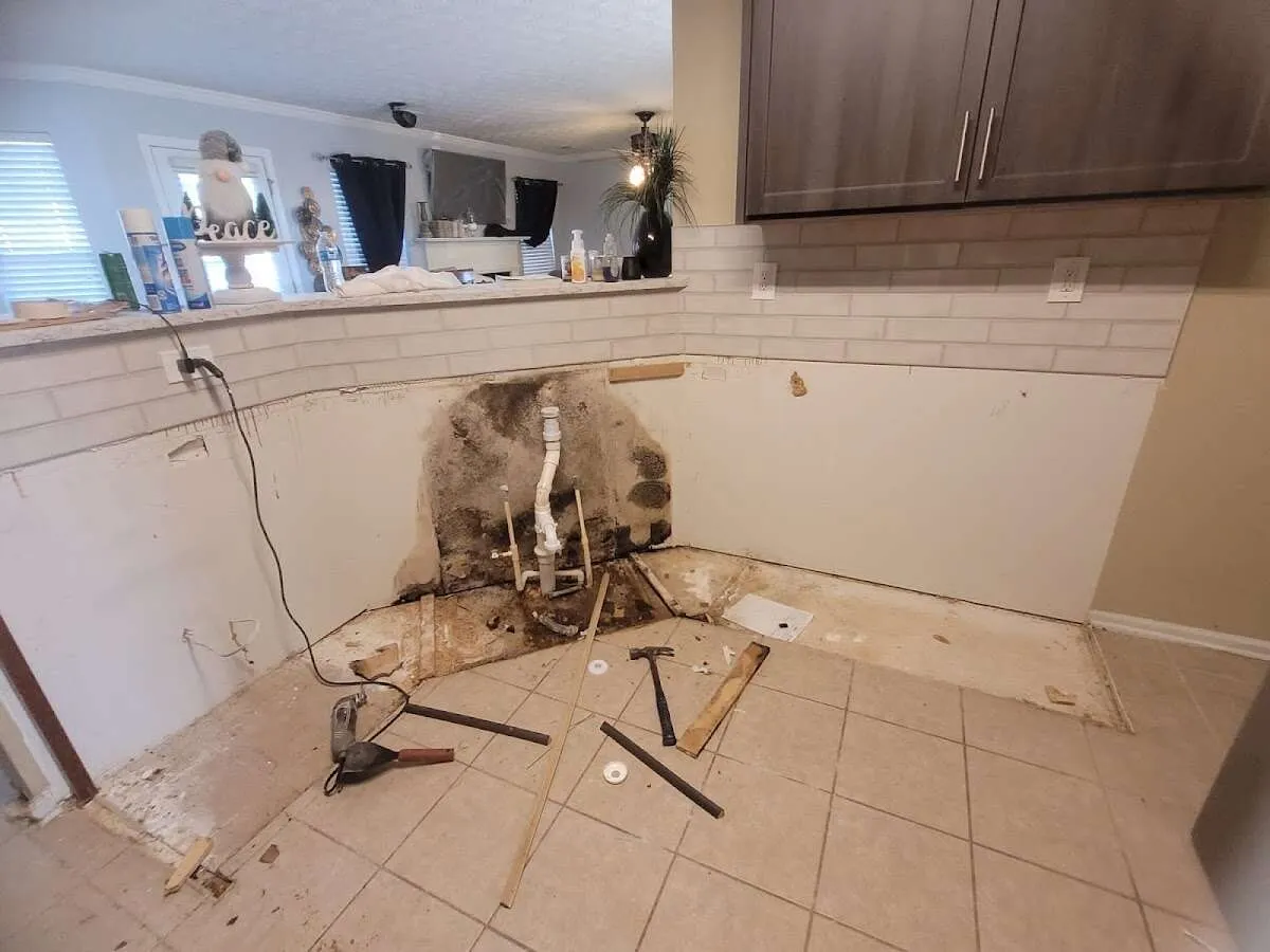 Mold behind wall with plumbing during Flood Damage Cleanup in Jacksonville Beach
